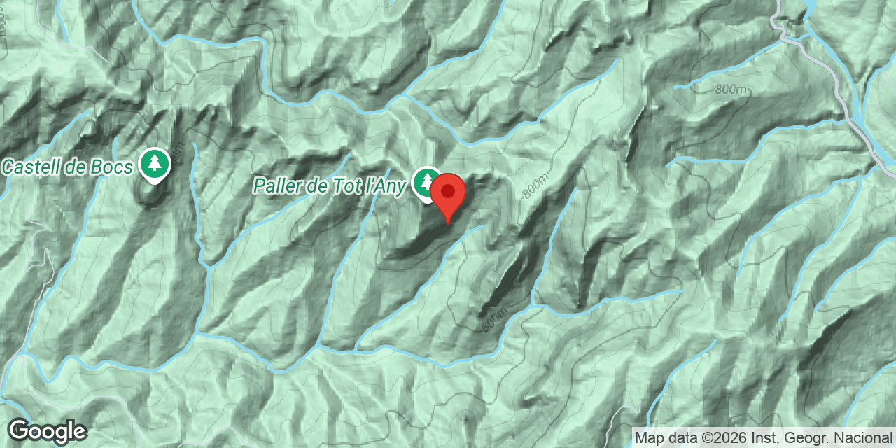 Location map of PALLER DE TOT L'ANY, ESCLETXA DEL