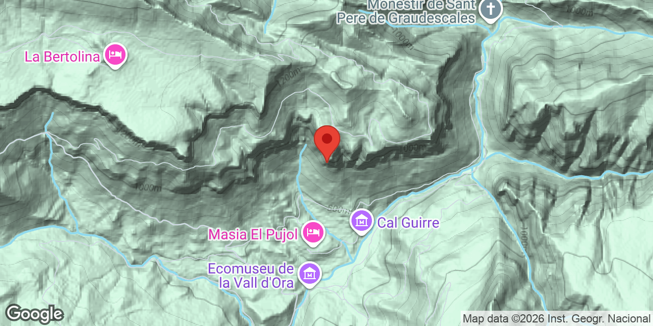 Mapa de situació de XALET, BALMA DEL