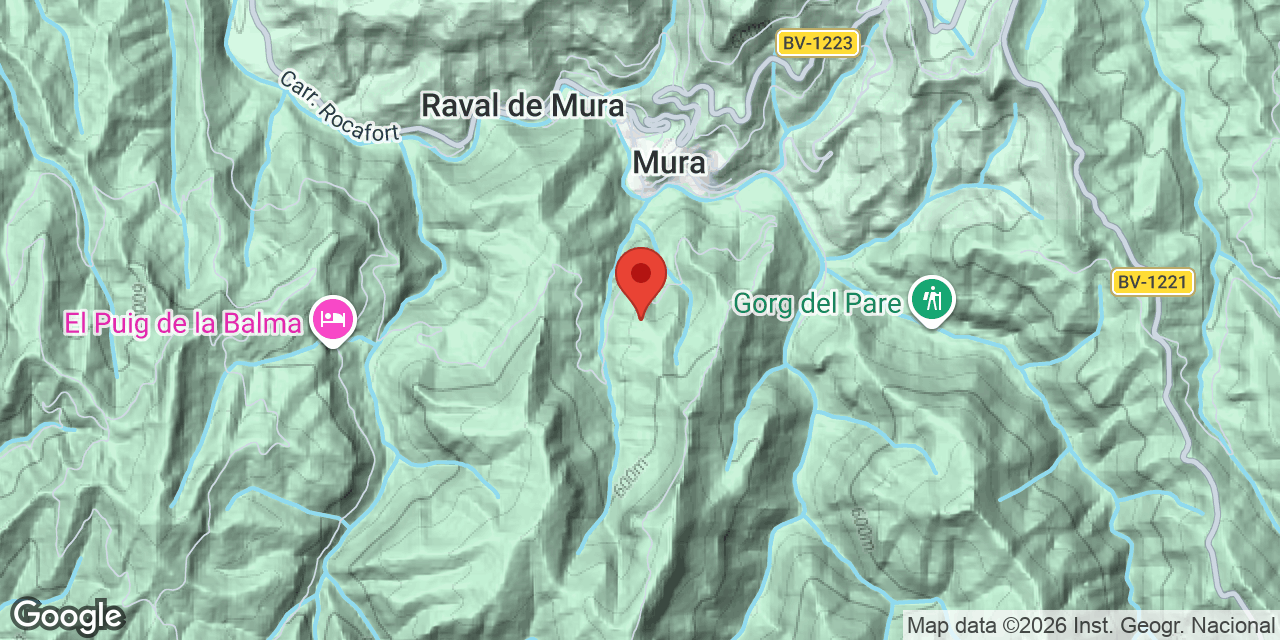 Mapa de situació de REIXAC, AVENC DE