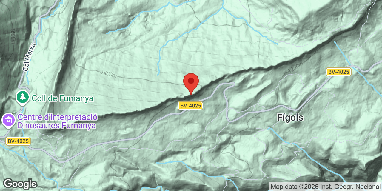 Mapa de situació de NEGRE DE VALLCEBRE, AVENC