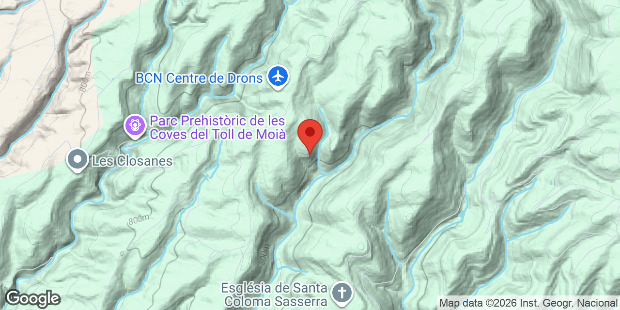 Mapa de situación de NEGRE DE PUIGANTIC, FORAT