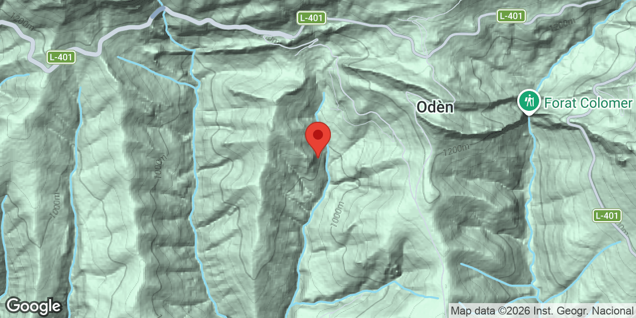 Mapa de situació de ALZINERA, COVA GRAN DE L'