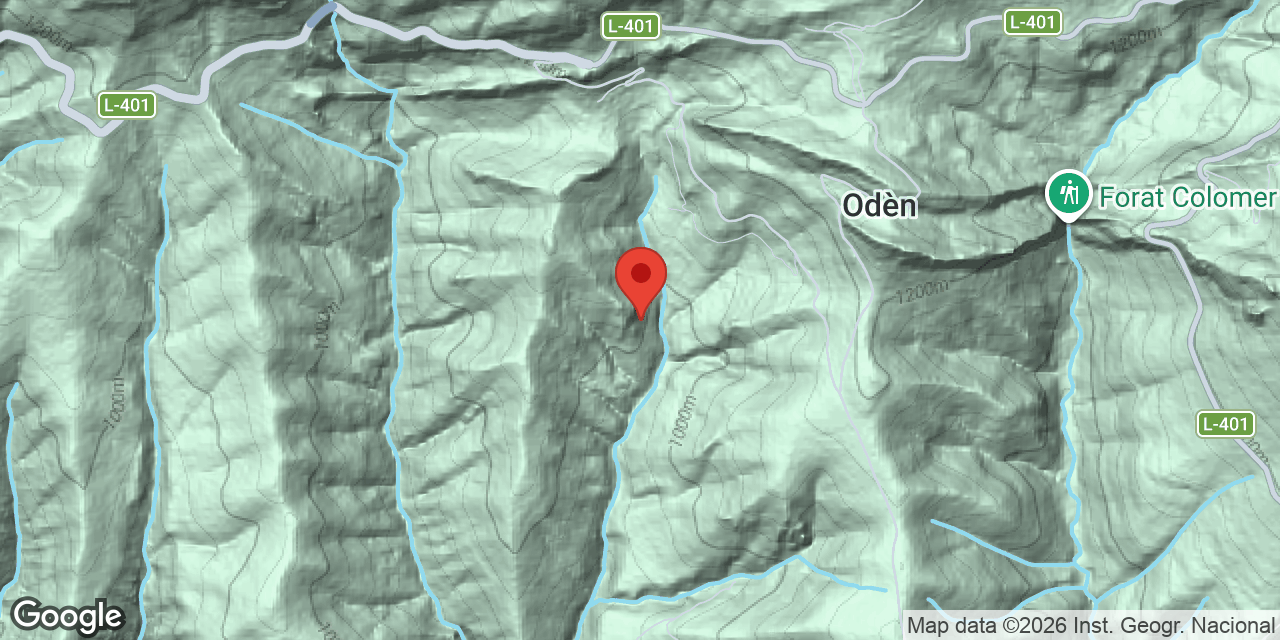 Mapa de situación de ALZINERA, COVA PETITA DE L'