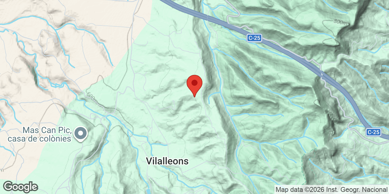 Mapa de situació de SANT MIQUEL, COVA DE