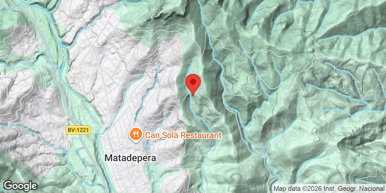 Mapa de situació de SALT, COVA DEL