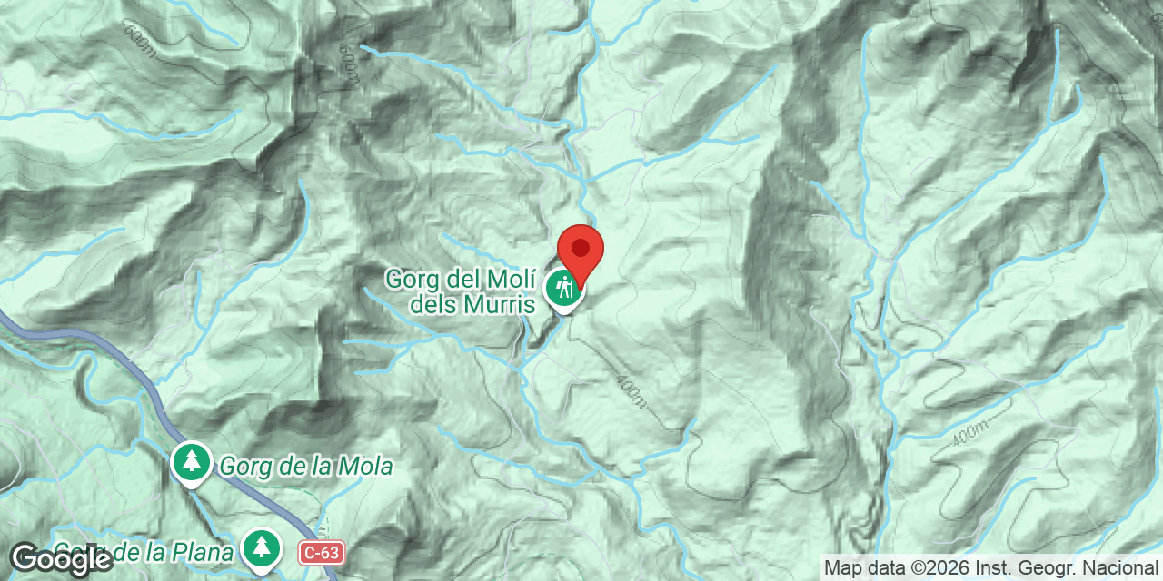 Mapa de situación de AVELLANER, COVA DE L'