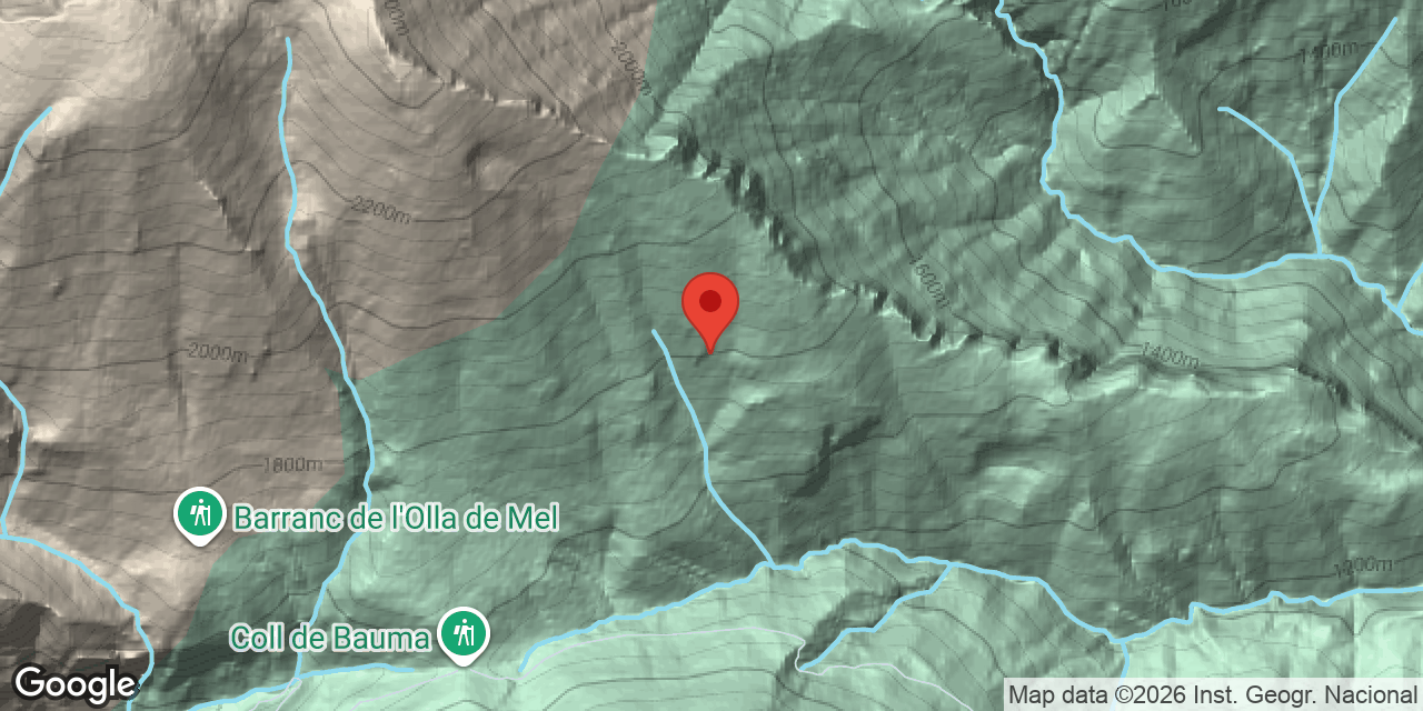 Mapa de situació de AVELLANOSA, FORAT DE L'