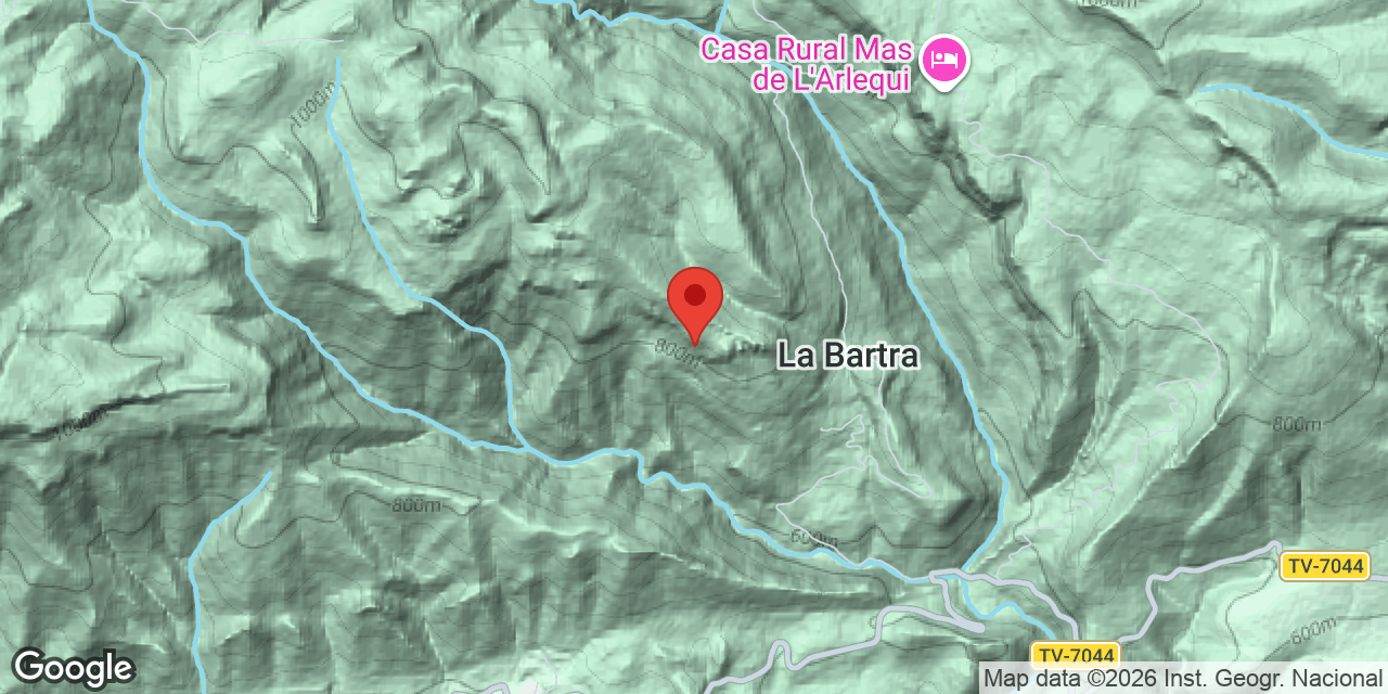 Mapa de situación de BULDÓ, COVA DEL