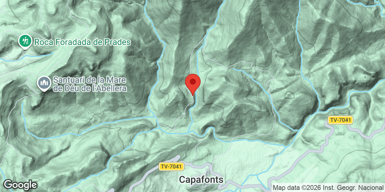 Mapa de situació de MAS DEL DINERAL, AVENC DEL
