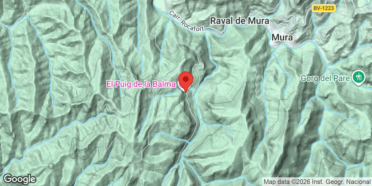 Mapa de situació de PUIG DE LA BALMA, BALMA DEL