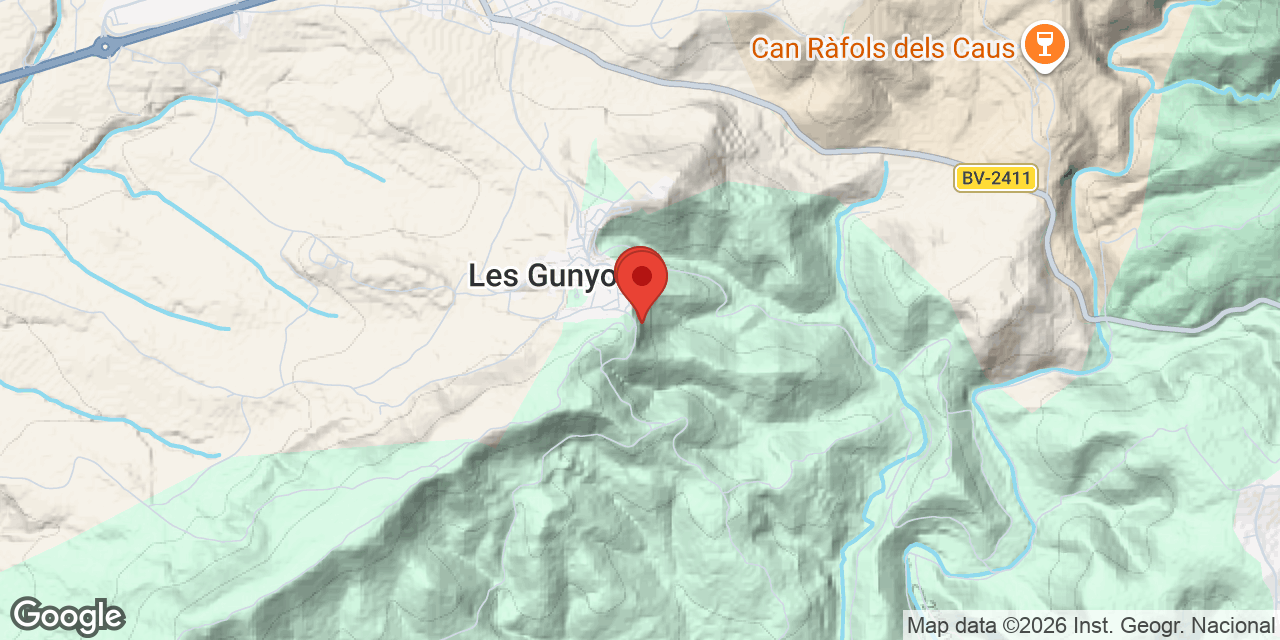 Mapa de situació de GUNYOLES, COVA I ABRIC DE LES