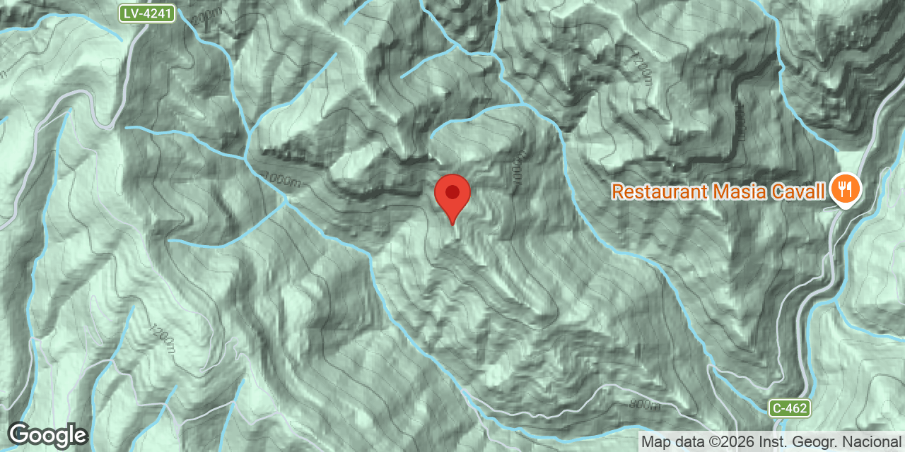 Mapa de situació de SEGARRA, BALMA DEL