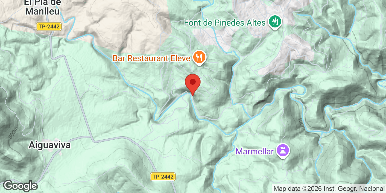 Mapa de situació de MOIXETA PETITA, COVA DE LA