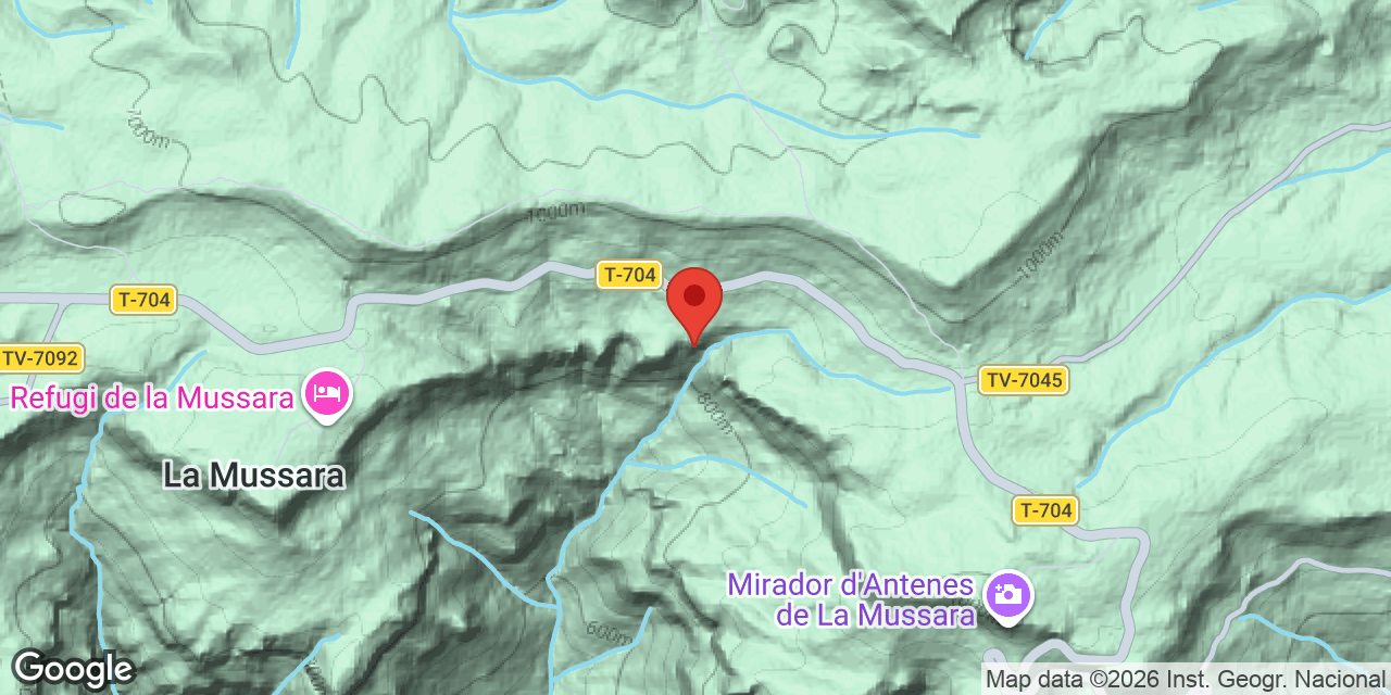 Mapa de situació de HOSPITAL DELS CARLINS, L'