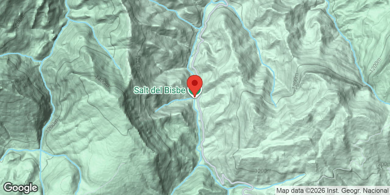 Carte de situation de SALT DEL BISBE, BAUMA DEL
