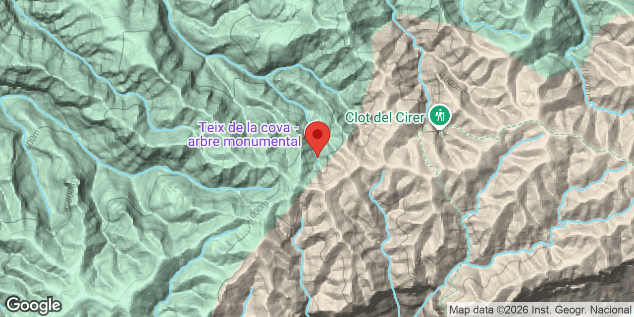 Mapa de situación de TEIX, COVA DEL