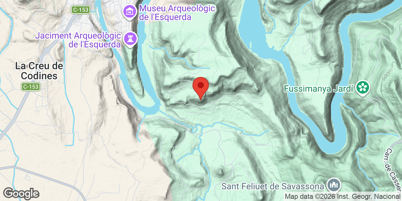 Mapa de situación de MAS SALOU, COVA DEL