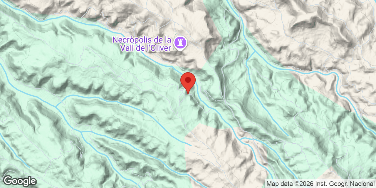Mapa de situació de XAMPINYONS, COVA DELS