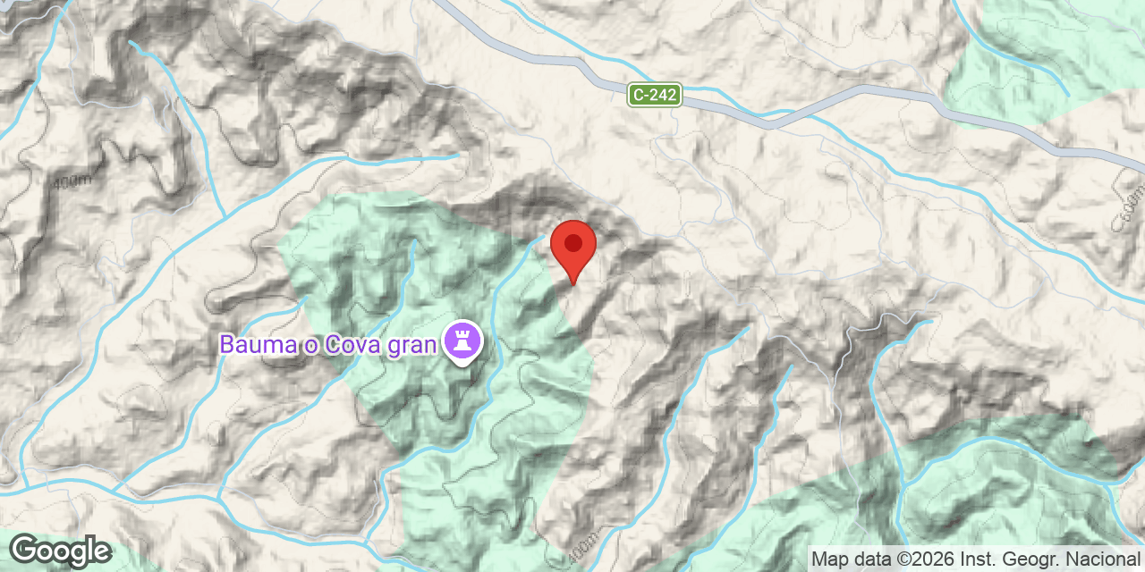 Mapa de situació de CAMÍ DEL MOLÍ, COVA GRAN DEL