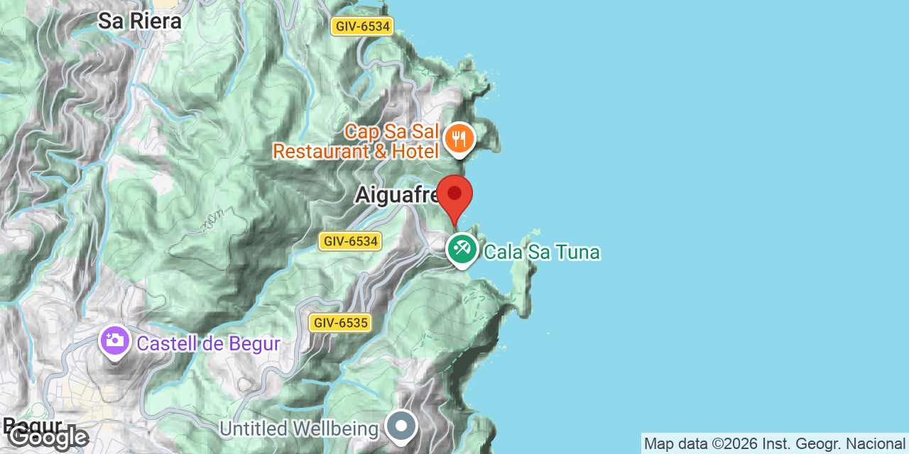 Carte de situation de VAQUES, COVA DE SES