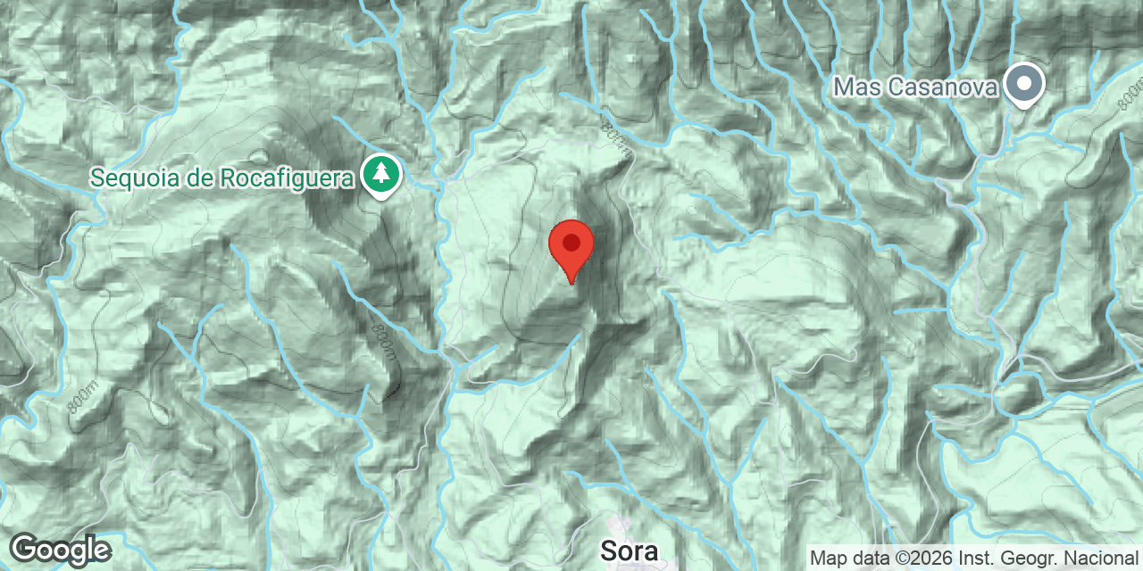 Location map of CASTELL DE BOIXADER, FORAT DEL