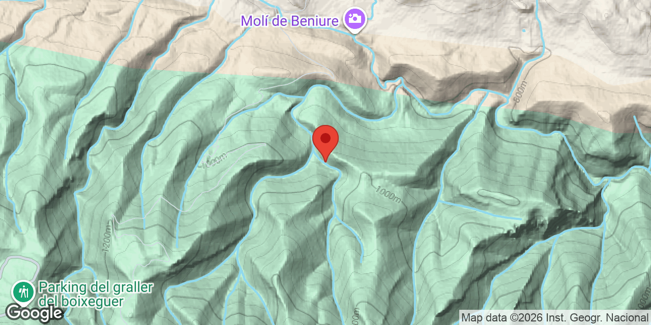 Mapa de situació de COSTA D'ALZINA, GRALLER DE