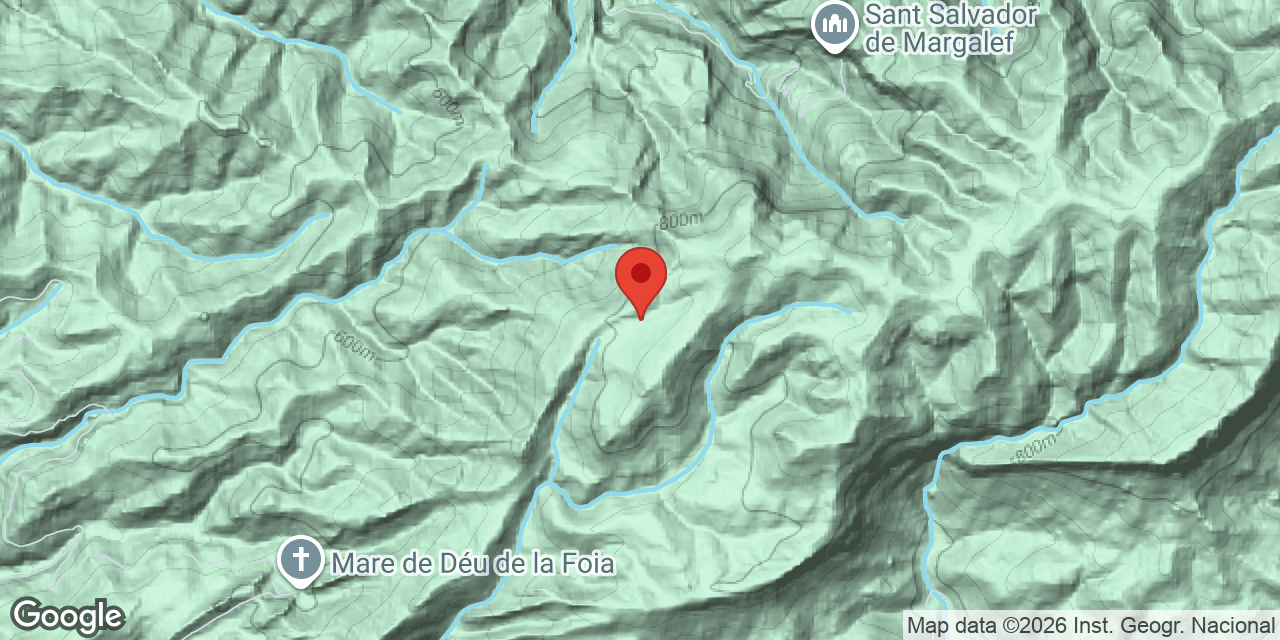 Mapa de situació de MASIP, COVA DEL