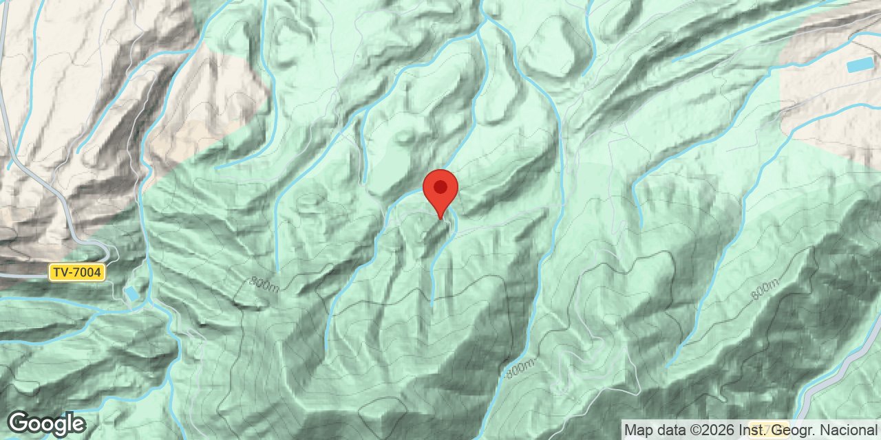 Mapa de situació de MAS DE LA LLANA, COVA DEL
