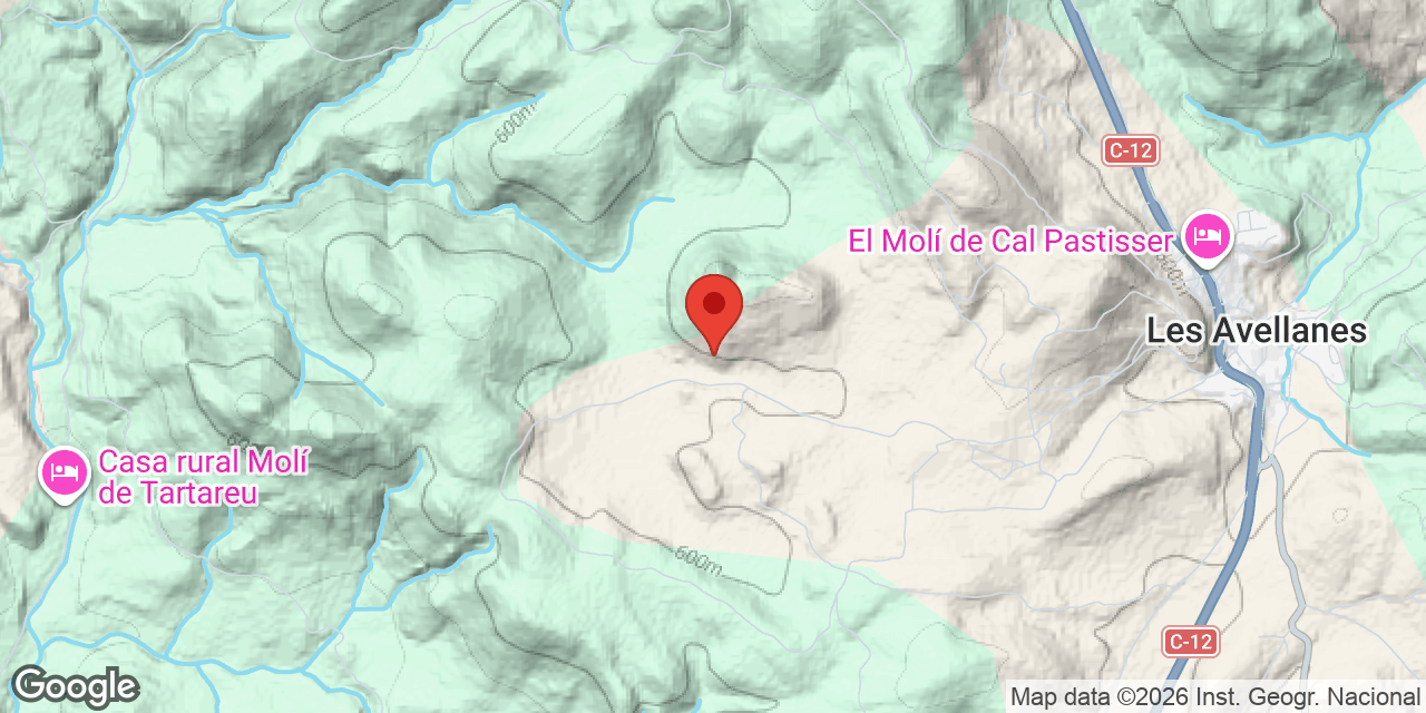 Mapa de situació de AVELLANES, COVA DE LES